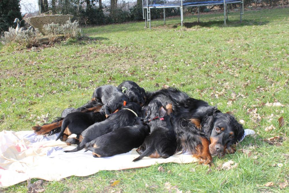Picknick in der Sonne!