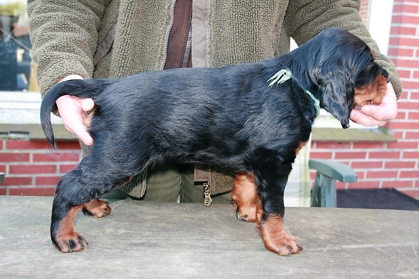 Aramis