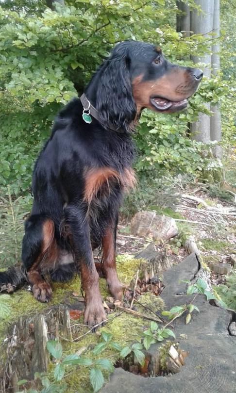 Geburtstagskind Apollo